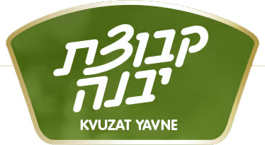 קבוצת-יבנה.png